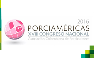 porciamericas_1.jpg