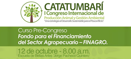 afiche_pre-congreso_catatumbari-01_0.jpg