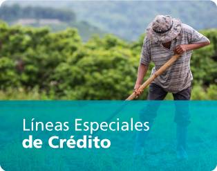 Líneas Especiales de Crédito