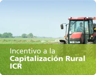 Incentivo a la Capitalización Rural 