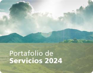 Portafolio de Servicios