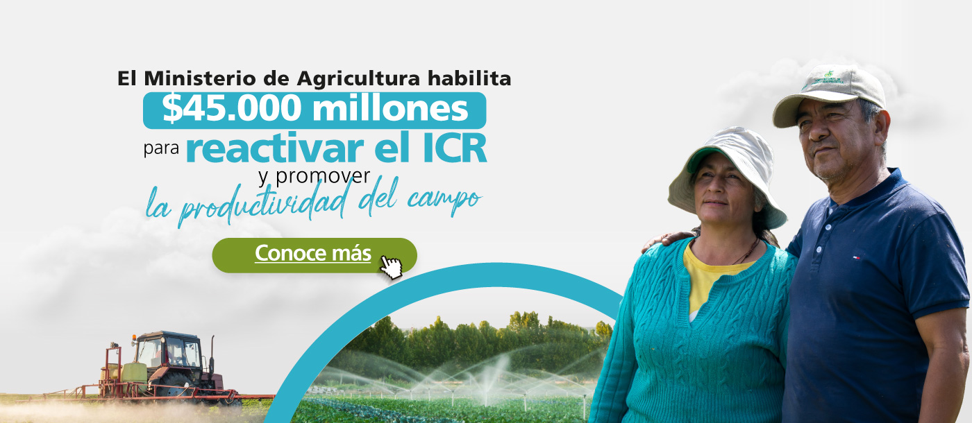 RECURSOS ICR