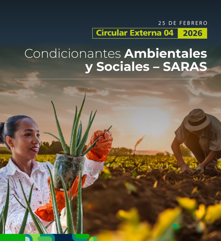 Circular Externa 04 de 2026