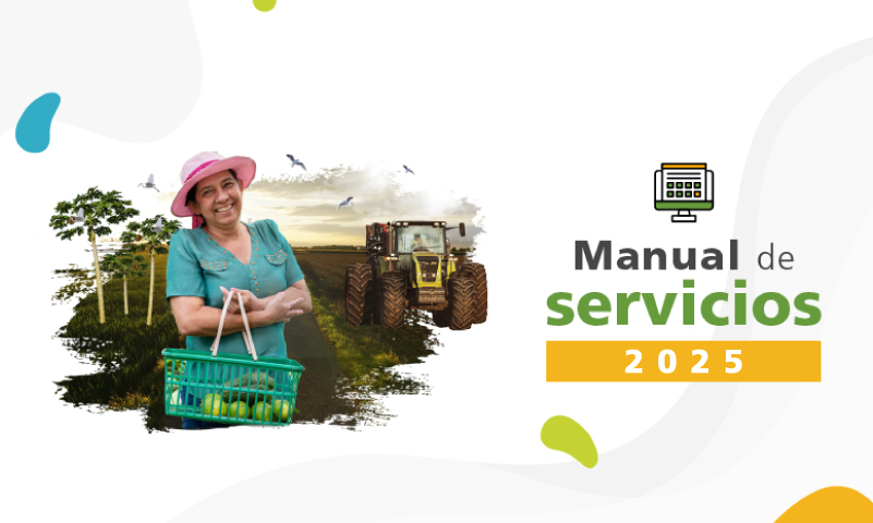 Manual de servicios