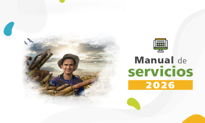 Manual de servicios