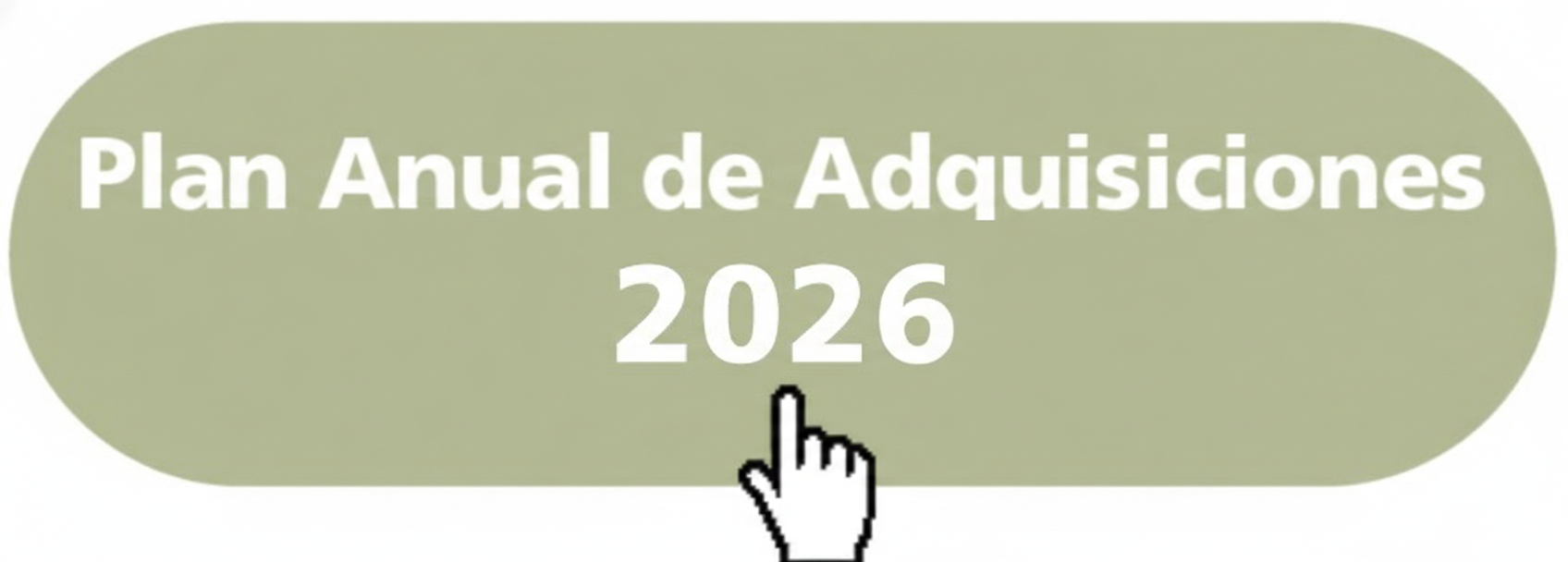 Plan anual 2026