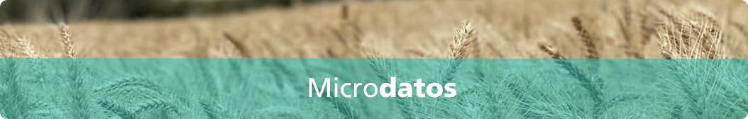 Microdatos