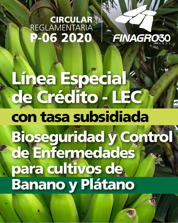 p06_p_circular_lec_bioseguridad.jpg