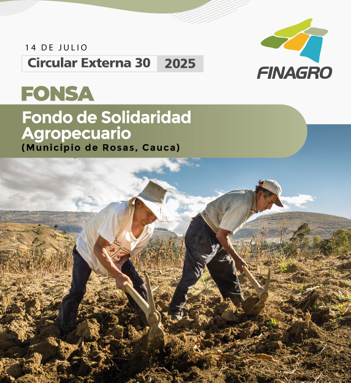 Circular Externa 30 de 2025