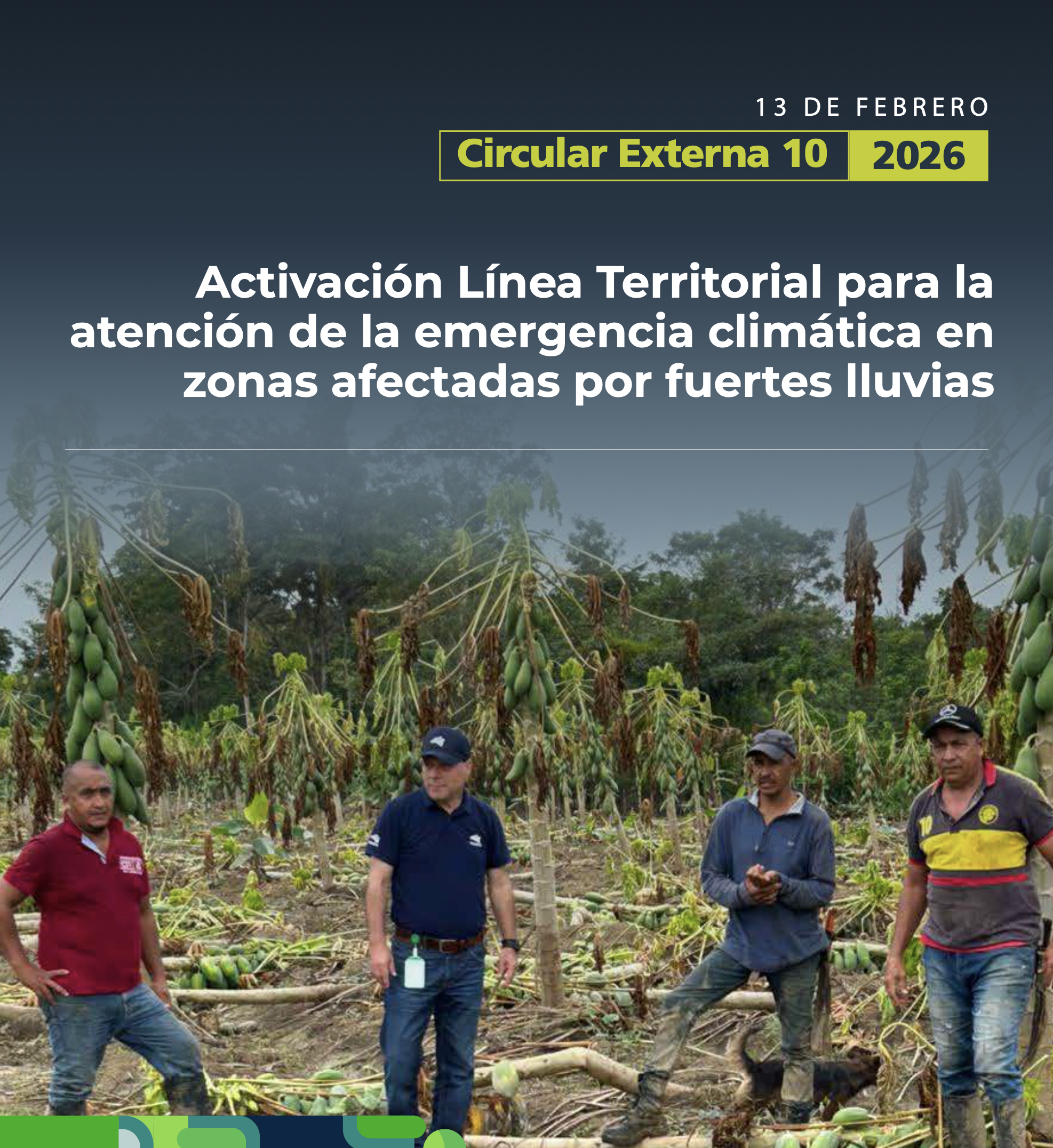 Hombres reforestando un área