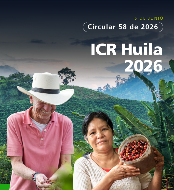 Productores de banano son racimos de su producci�n.