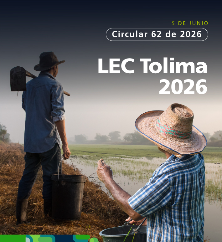 Cultivadores en campo de arroz
