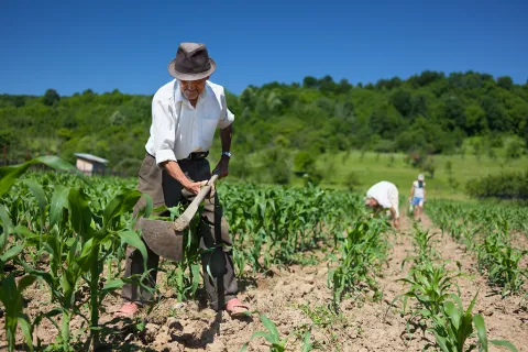 campesino_arando_0.jpg