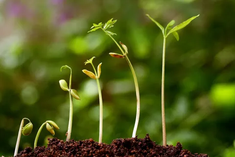 shutterstock_137677043_0.jpg