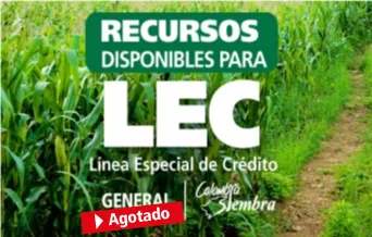lec.jpg