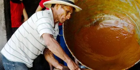 panela_1.jpg