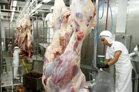 gobierno_logra_875_de_admisibilidad_para_el_agro.jpg