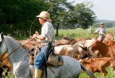 manejo_ganado.jpg