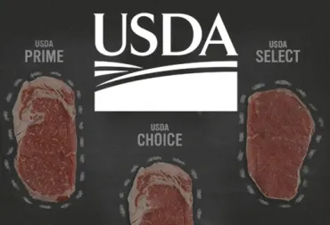 usda_carne.jpg