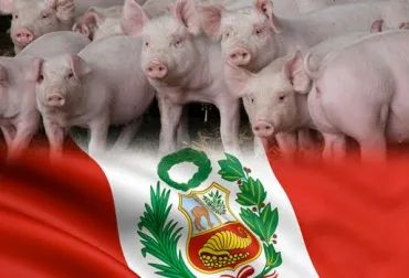 cerdo_peru.jpg