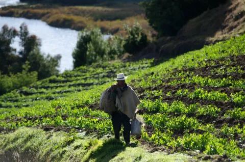 agricultura_familiar-1.jpg