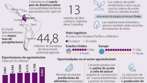 agro0205.jpg