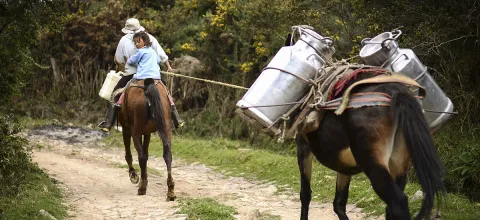 productores_de_leche.jpg