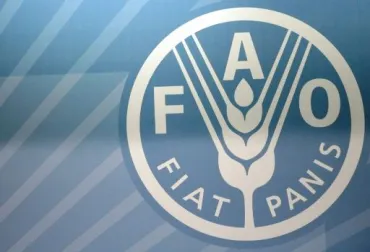 afp.png
