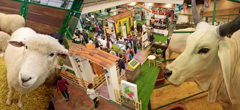 agroexpo-pueblo-pecuario.jpg