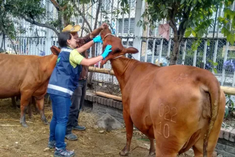 agroexpo_1.jpg