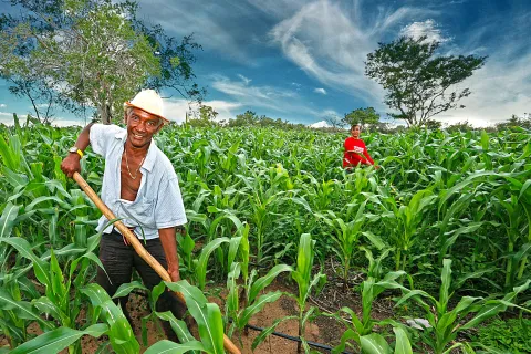 empleo-campesinos.jpg