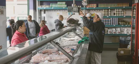pescado_pagina_web.jpg