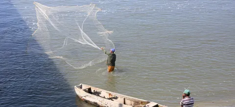 pescador.jpg