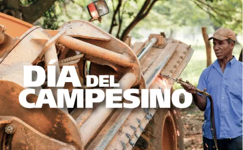 portada_noticia_homediacampesino.jpg