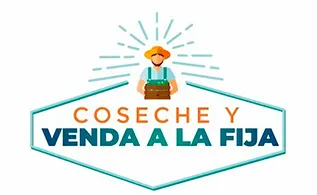 cosecheeee.jpg