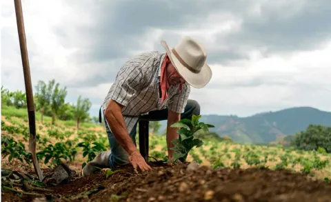 agricultor.jpg