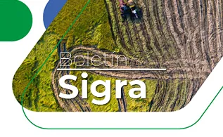 sigra-300.png