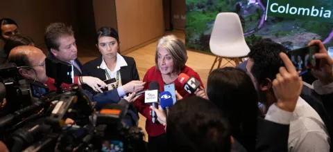 Minagricultura anuncia medidas a corto y mediano plazo para ayudar productores rurales afectados por ola invernal