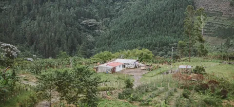 Nuevo decreto facilita acceso a tierra para v�ctimas de cat�strofes naturales declaradas
