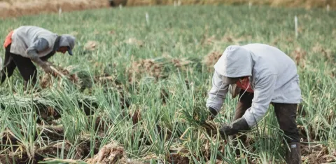MinAgricultura anuncia reducci�n de tasas de inter�s en l�nea de cr�dito de econom�a popular para productores agropecuarios