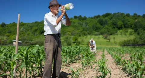 Se reactiva el Incentivo al Seguro Agropecuario para que las campesinas y campesinos protejan sus inversiones  ante el Fen�meno de El Ni�o