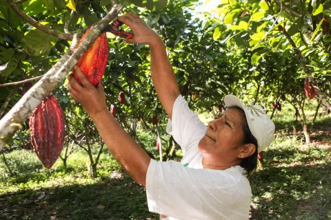 FINAGRO ha desembolsado m�s de $7,8 billones para financiar la producci�n de alimentos en Colombia