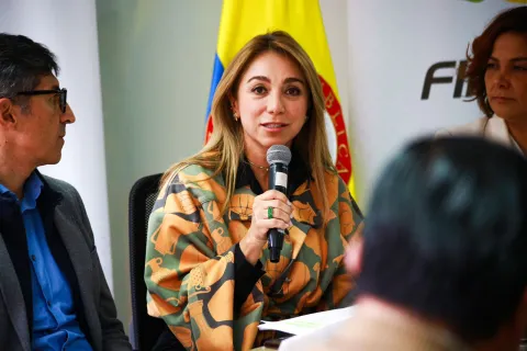 Gobierno Nacional asigna m�s de $382 mil millones para democratizar el cr�dito y hacer m�s productivo y competitivo el campo colombiano
