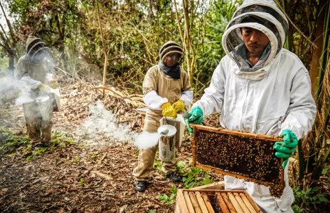 El sector Agricultura avanza con las ayudas a la poblaci�n del Catatumbo