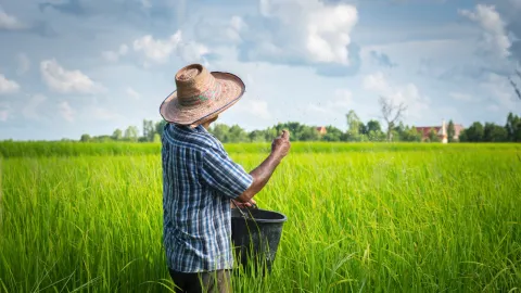 MinAgricultura orienta la Pol�tica de Financiamiento para la condonaci�n de hasta el 100% de intereses en deudas en mora de arroceros y anuncia m�s de $8.000 millones disponibles para subsidiar tasas de inter�s