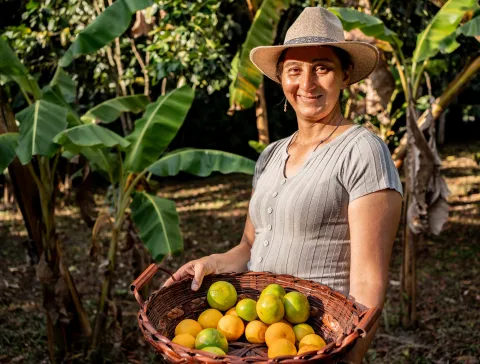 En 2025 el Gobierno Nacional irrig�, a trav�s de Finagro, $48,1  billones en cr�dito de fomento al campo colombiano, la mayor  colocaci�n en la historia de la entidad 