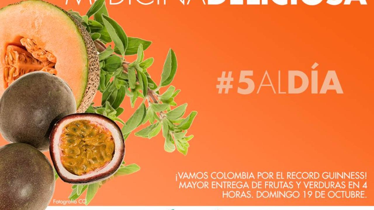 imagen1.jpg