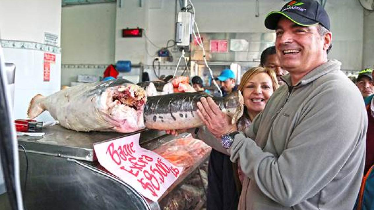pescado.jpg