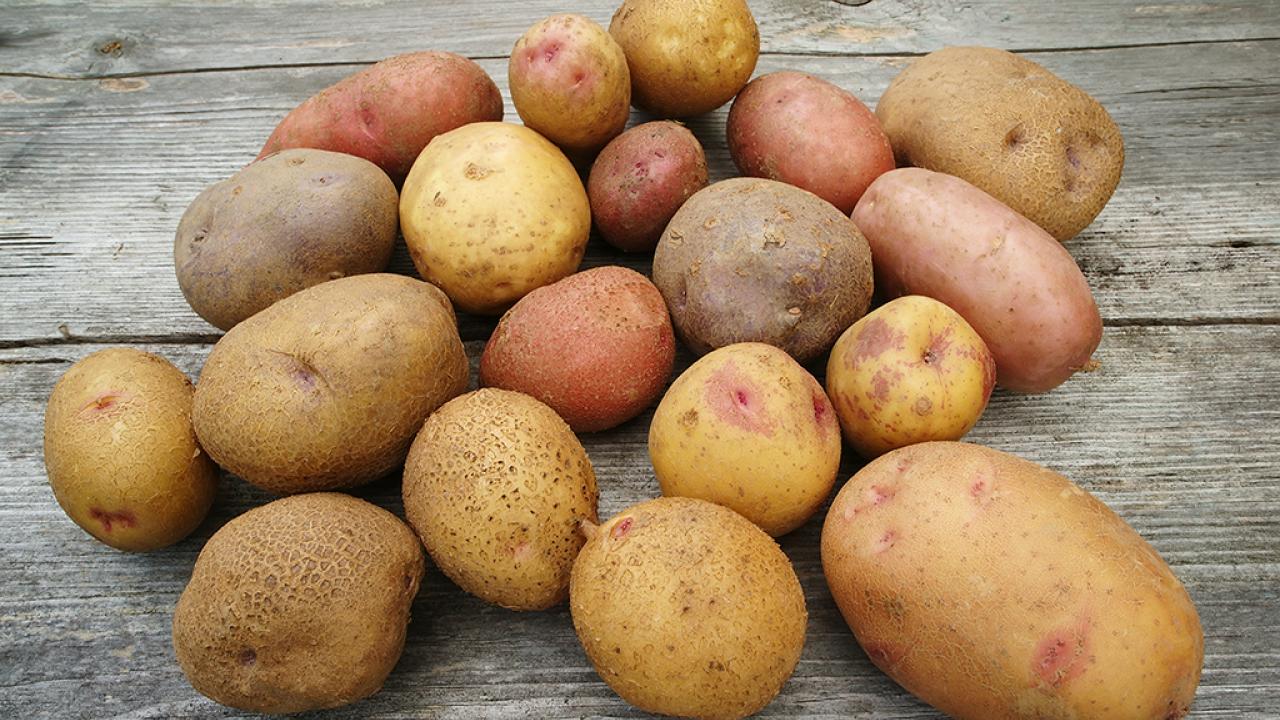 shutterstock_176446862.jpg