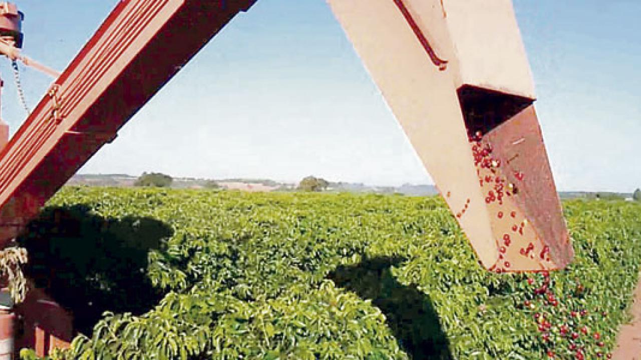 mecanizacion-del-campo-foto-2_0.jpg